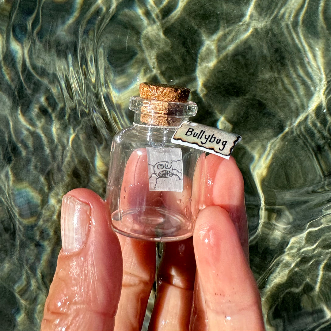 Bullybug Jar
