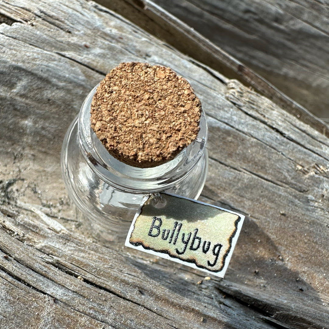 Bullybug Jar